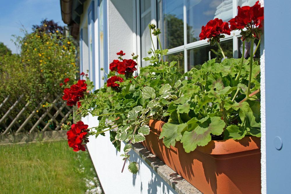Ferienwohnanlage Bruckner Apartment Rostock Exterior foto